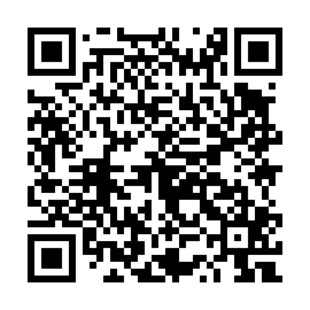 QR code for DSI405