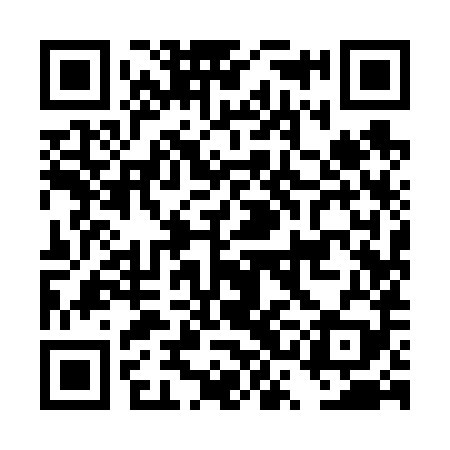 QR code for DSI689