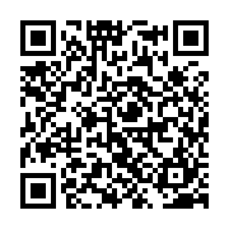 QR code for DSI924