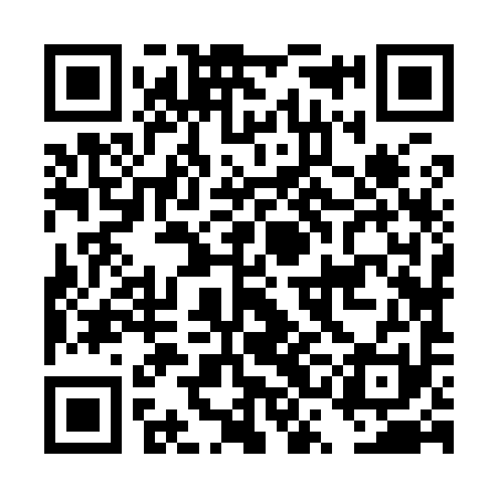 QR code for DSJ991