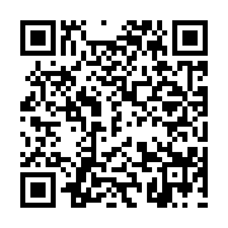 QR code for DSK919