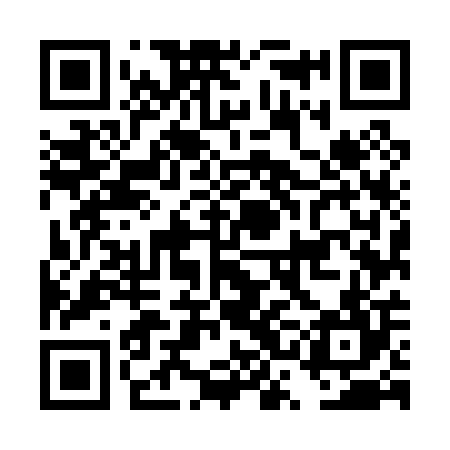 QR code for DSM004