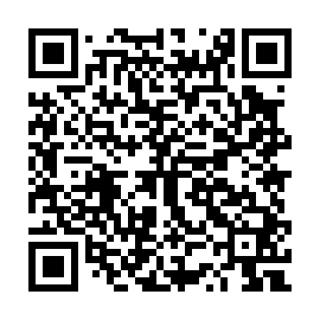 QR code for DSM040
