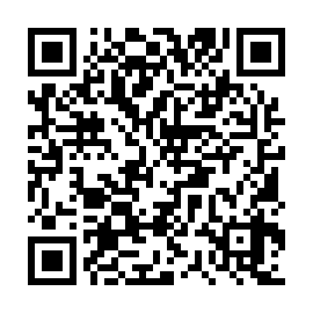QR code for DSM138