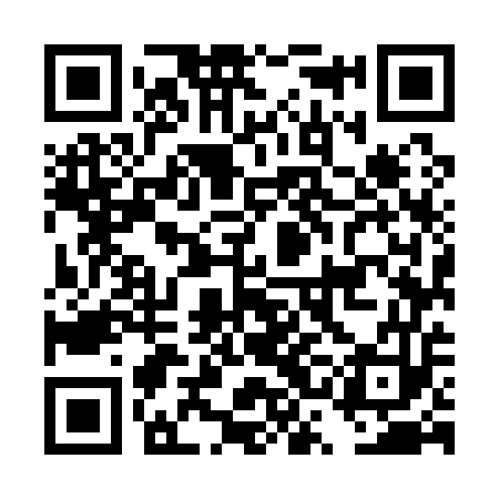 QR code for DSM153