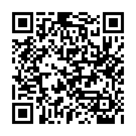 QR code for DSM171