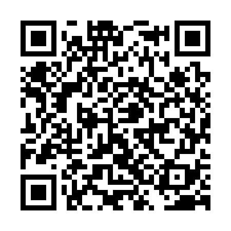 QR code for DSM379