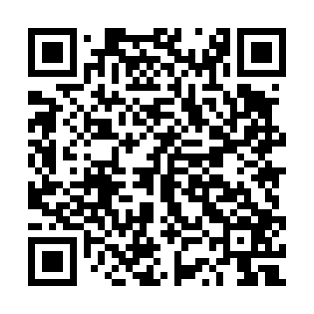 QR code for DSM406