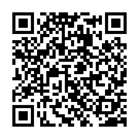 QR code for DSN208