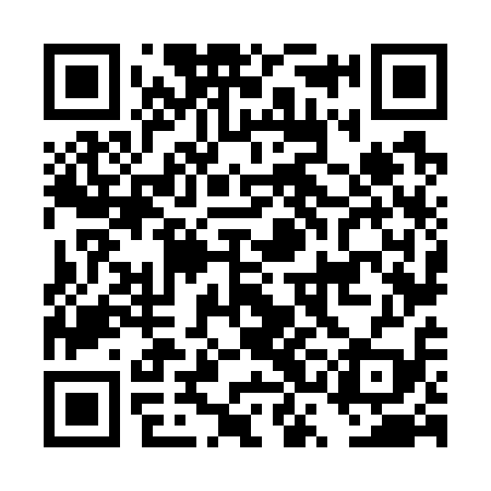 QR code for DSN719