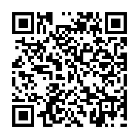 QR code for DSN728