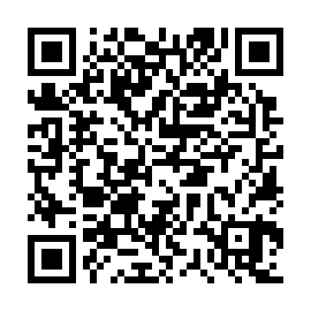 QR code for DSO320