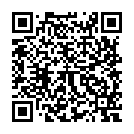 QR code for DSO995
