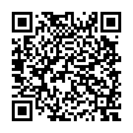 QR code for DSP080