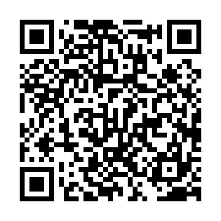 QR code for DSP137