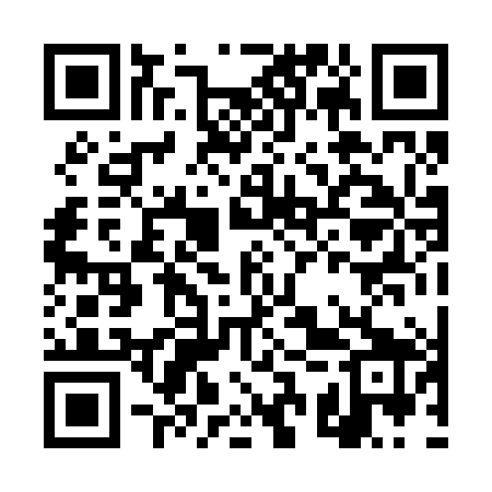QR code for DSP289