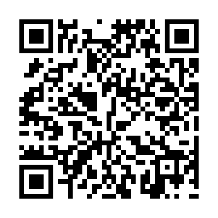 QR code for DSP328