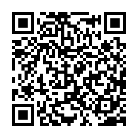 QR code for DSP370