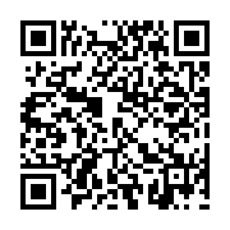 QR code for DSP371