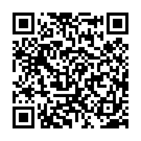 QR code for DSP433