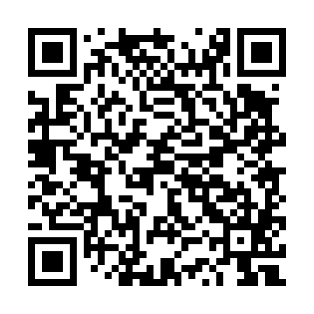 QR code for DSP485