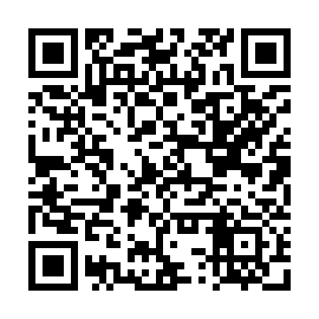 QR code for DSP933