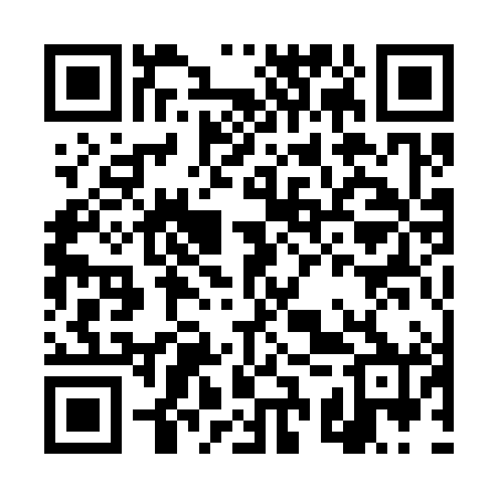 QR code for DSQ380