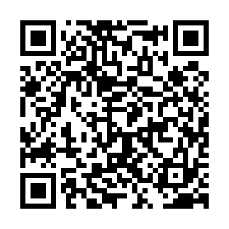 QR code for DSQ533