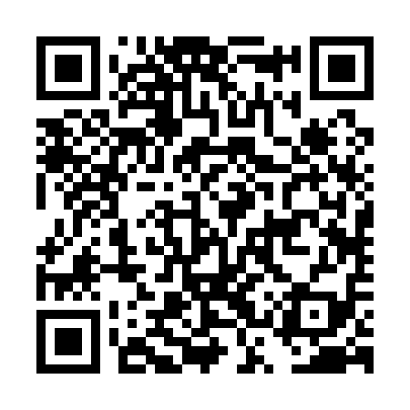 QR code for DSR119