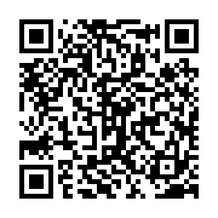 QR code for DSR233