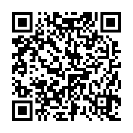 QR code for DSR234