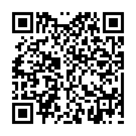 QR code for DSR318