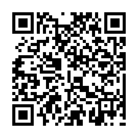 QR code for DSR347