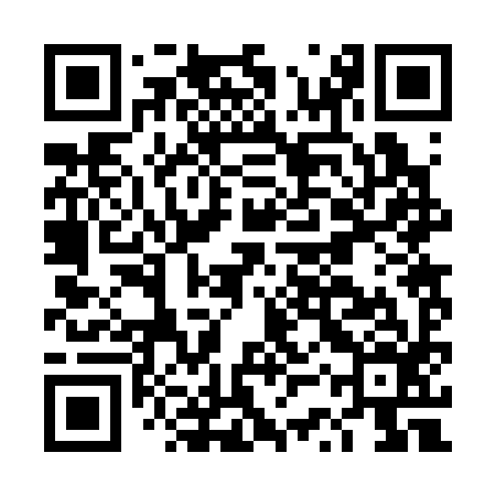 QR code for DSR396