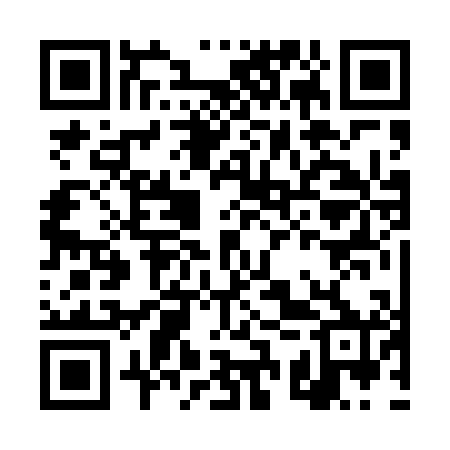 QR code for DSR400