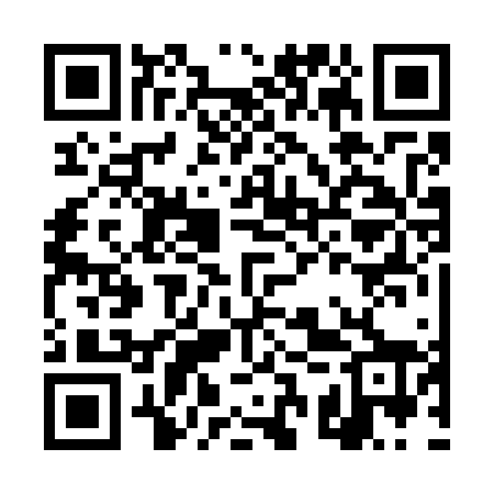 QR code for DSR768