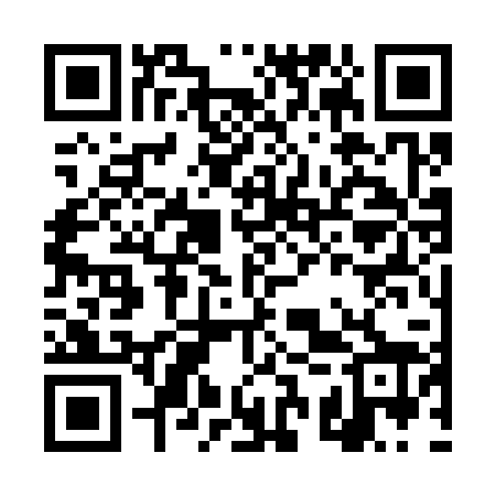 QR code for DSS328