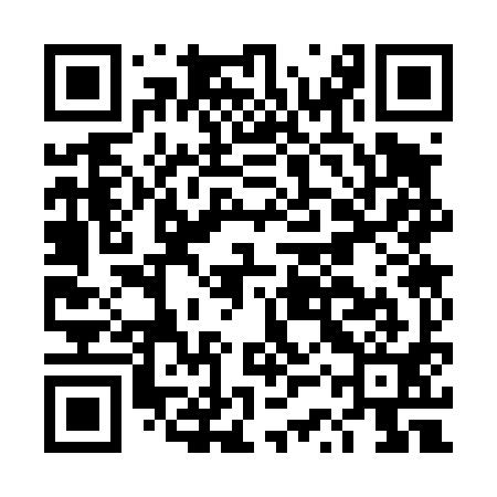 QR code for DSS491
