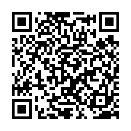 QR code for DSS633
