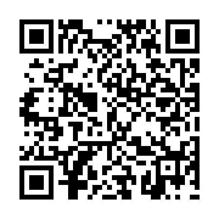QR code for DST338