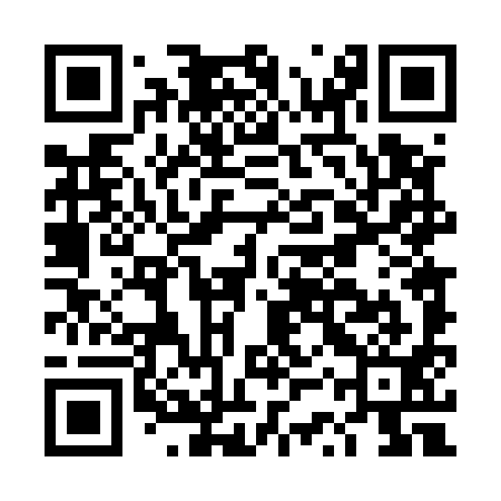 QR code for DST591