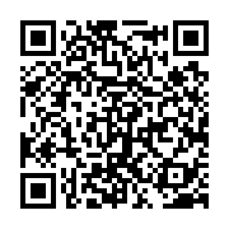 QR code for DST739