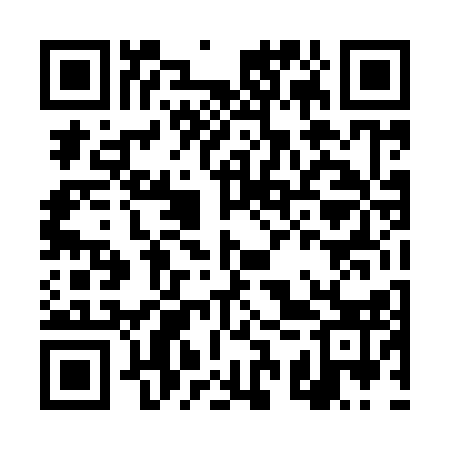 QR code for DST913