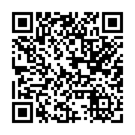 QR code for DSU314