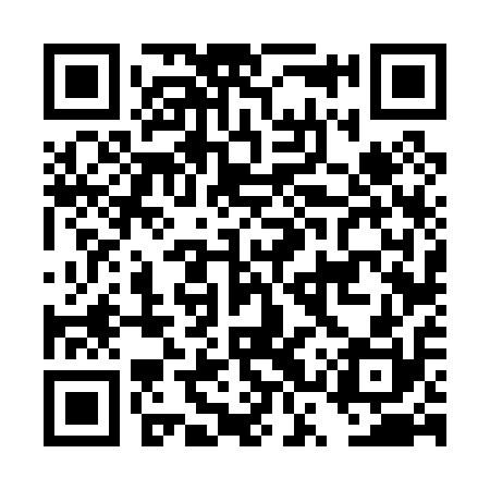 QR code for DSV010
