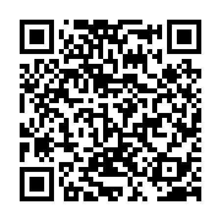 QR code for DSV239