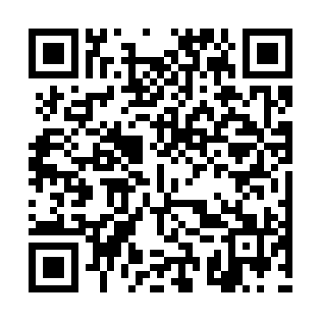 QR code for DSV391