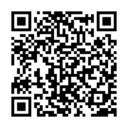 QR code for DSV399