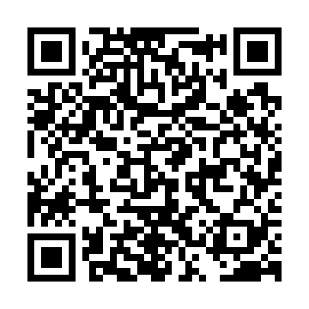 QR code for DSW729