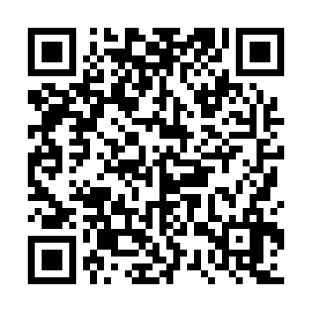 QR code for DSX136